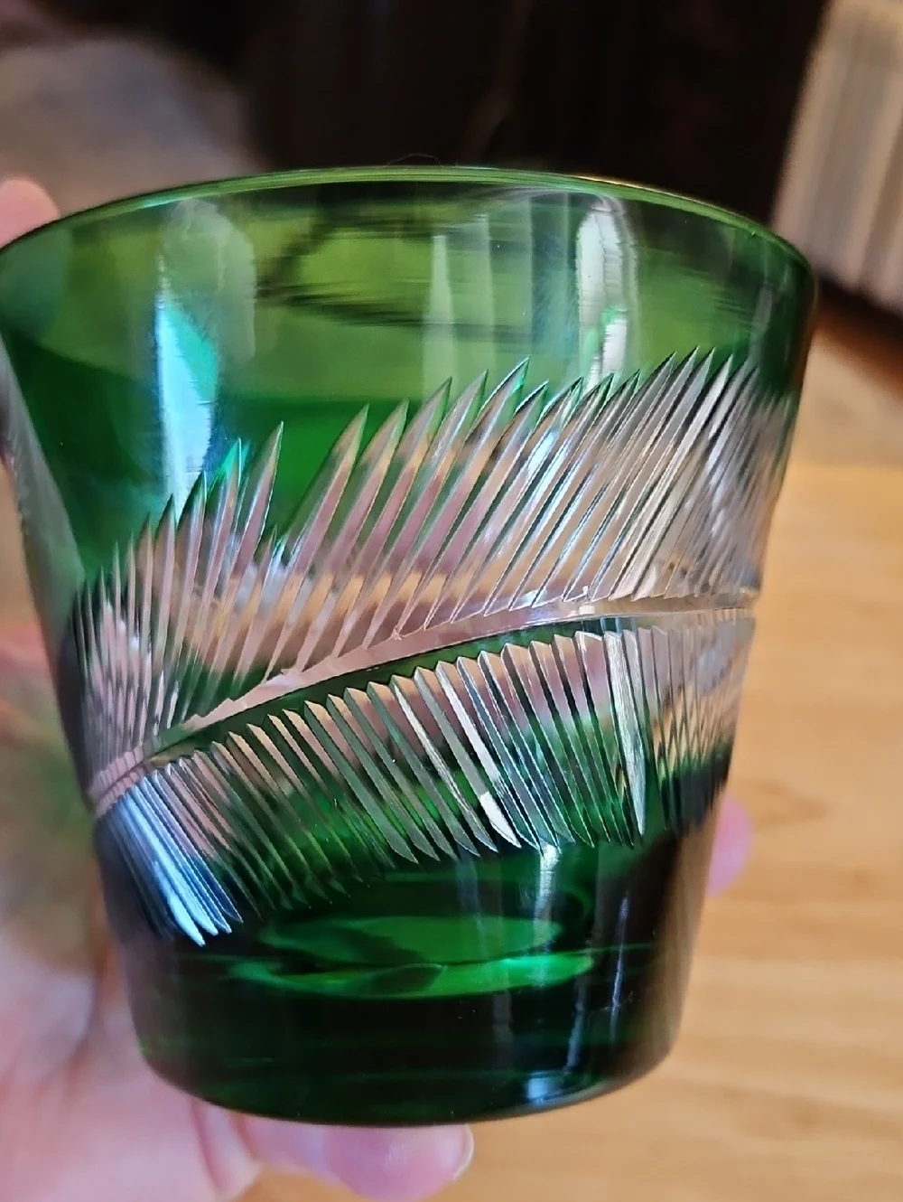 Vintage Green Etched Glass Leaf Feather  Tumbler
